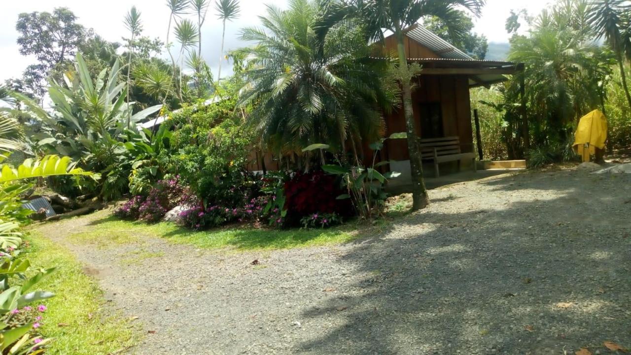 Posada Rio Celeste In Bed and Breakfast Buitenkant foto